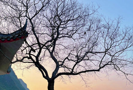 威海培训三级心理咨询师哪家好-威海三级心理咨询师培训哪家好